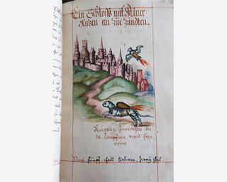 Illustration for article titled The 16th century plan to weaponize cats and birds with rocket packs